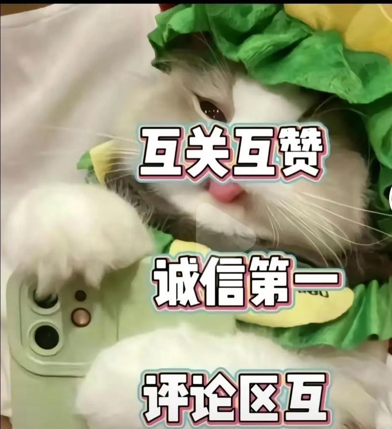 抖音粉点赞平台，你的粉丝获取与提升必答法宝