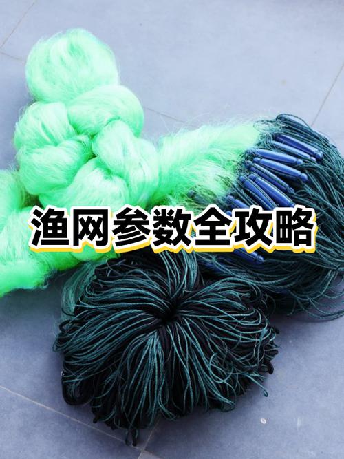 如何用网鱼轻松配置电脑？掌握基础配置技巧，提升效率与性能