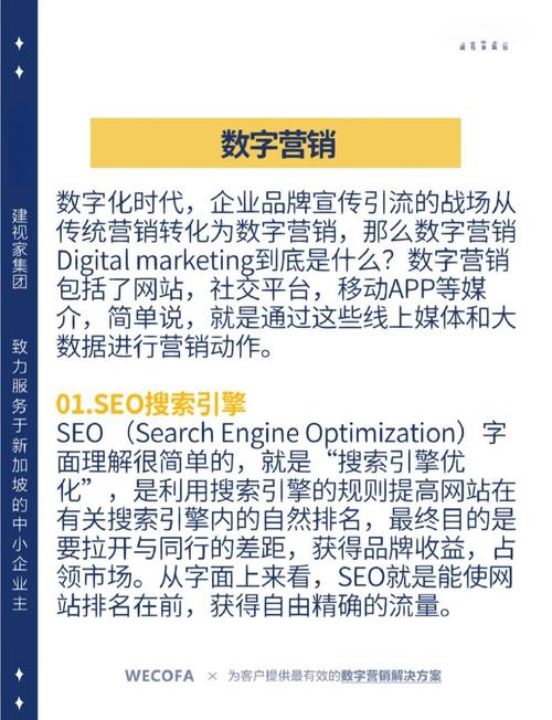 从SEO到内容营销，金昌网络优化模型的全面解析