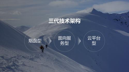 蚂蚁快网，短视频平台的崛起与数据解析