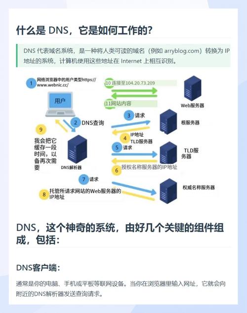 中国网络域名公司（CNDC）指南，解析网络空间的数字化转型