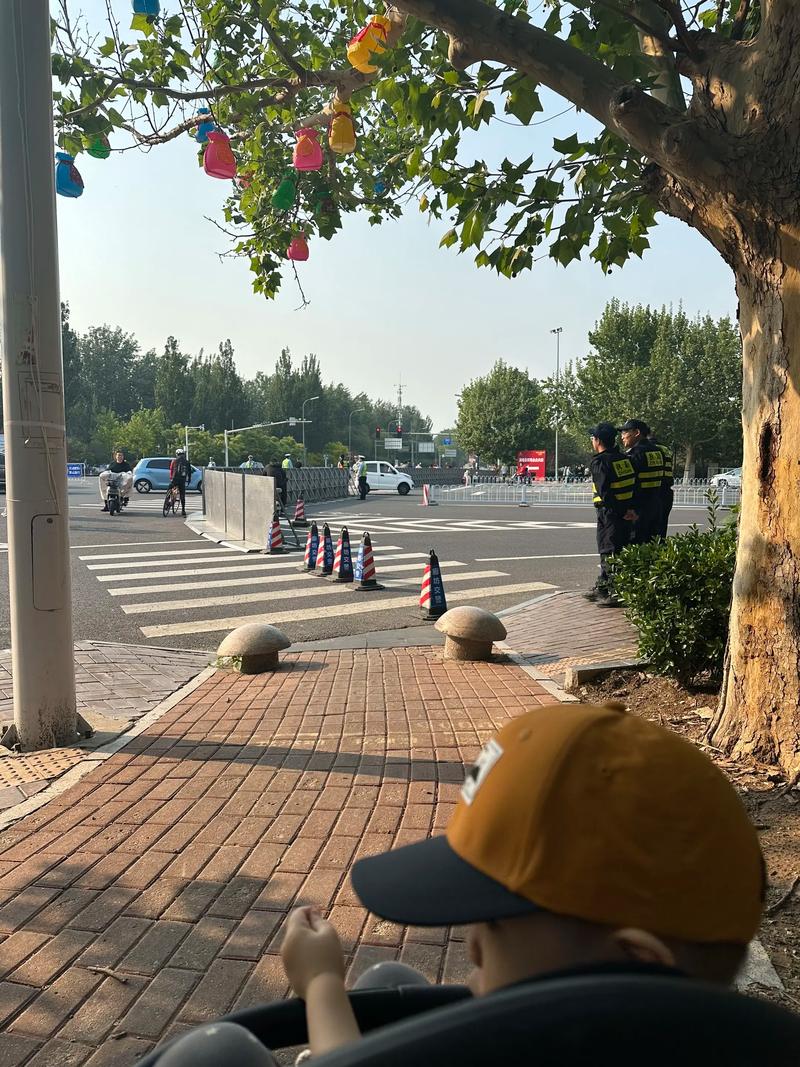 金华疫情道路，从封城到恢复，