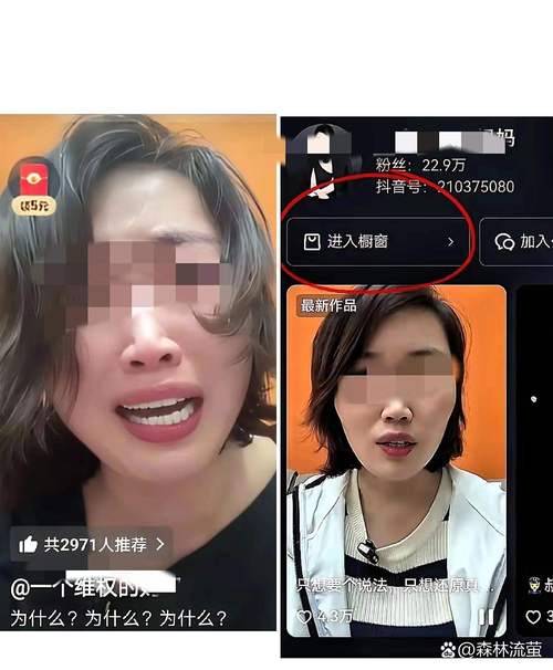网红抖音自助下单平台与快手涨粉业务，真相与真相的真相