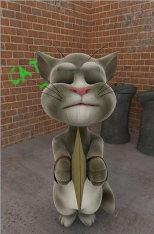 会说话的汤姆猫电脑版，三星电脑报价，你值得拥有的手机推荐