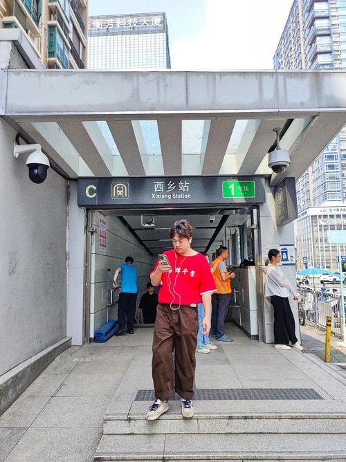 什么是西乡建站？