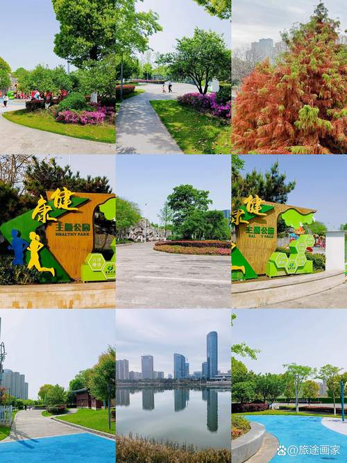 健康快乐幸福，青岛好运网站建设，打造健康生活的新范本