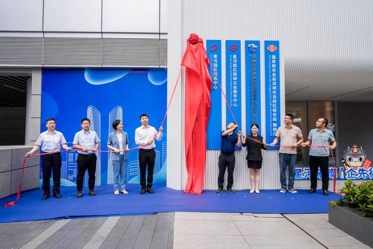 龙岗网站建设专家，龙岗小站的成功之道