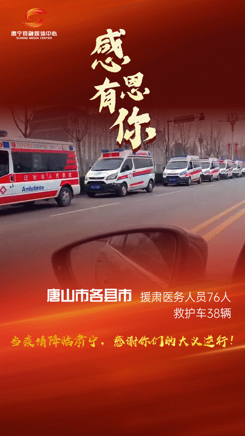 仓洲疫情最新动态解析