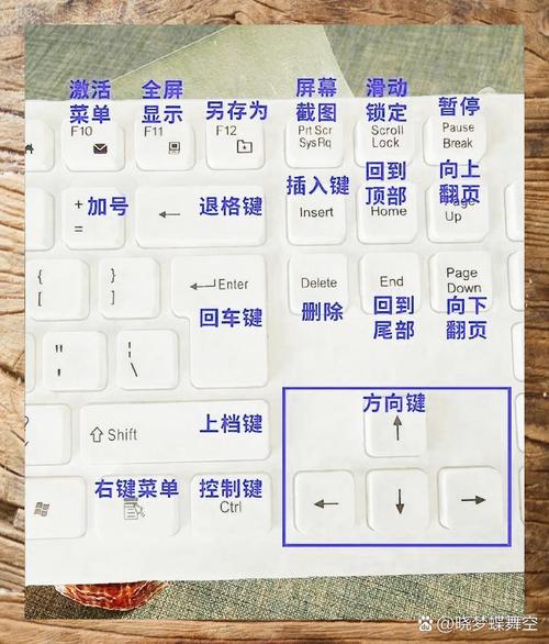 电脑入门基础知识