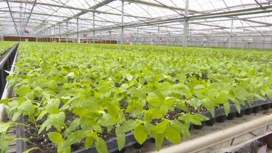 阜宁县现代化农业网站建设之路