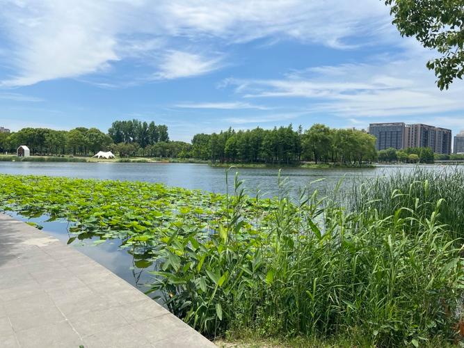 嘉定区，互联网时代的宜居之选