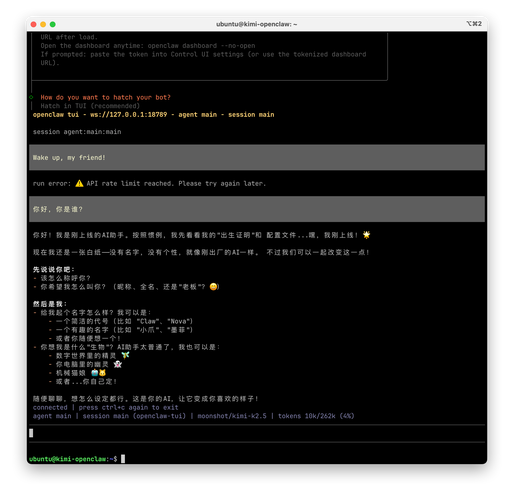 网站作者角色设定指南，从理解到成功