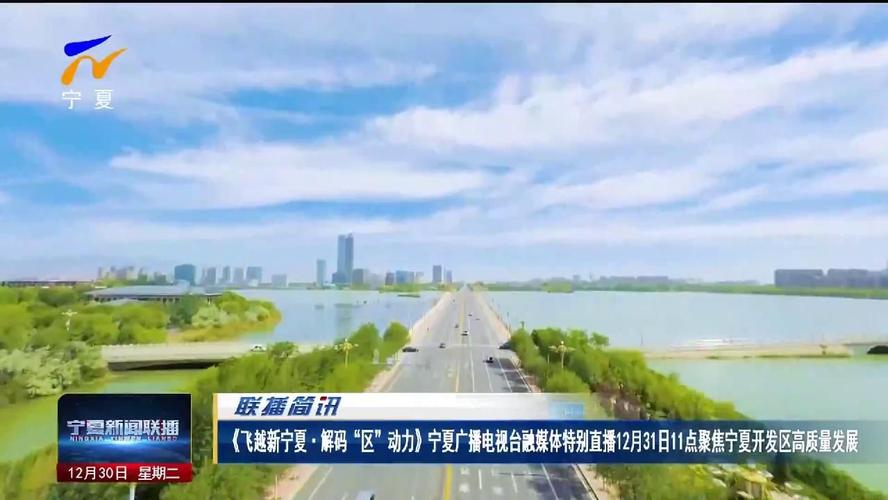 宁夏网络行业，崛起与机遇