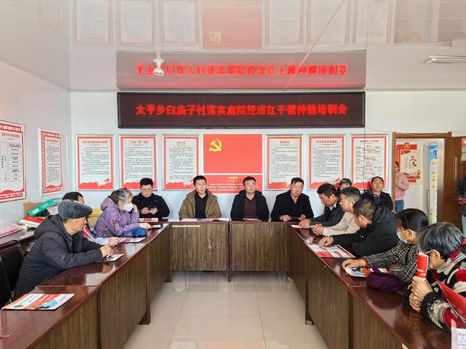 小董乡疫情防控最新动态，村民与政府的共同努力