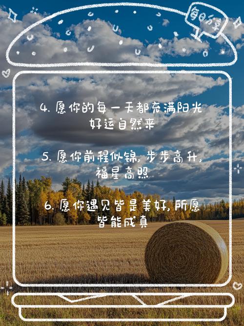 喜欢网络，形容幸运的网络用语指南