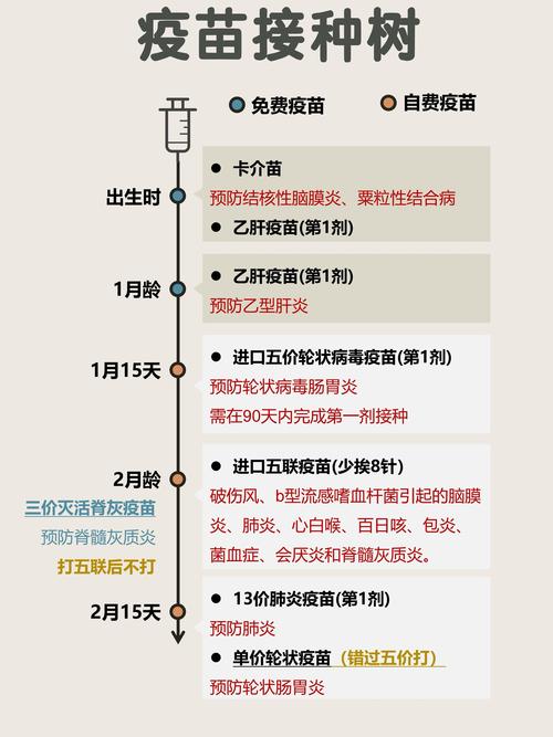 杏荫区疫情最新动态，疫苗接种、管理措施和防控策略