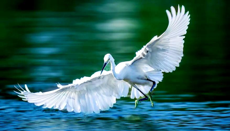 电脑摄影，轻松捕捉生活中的美好瞬间