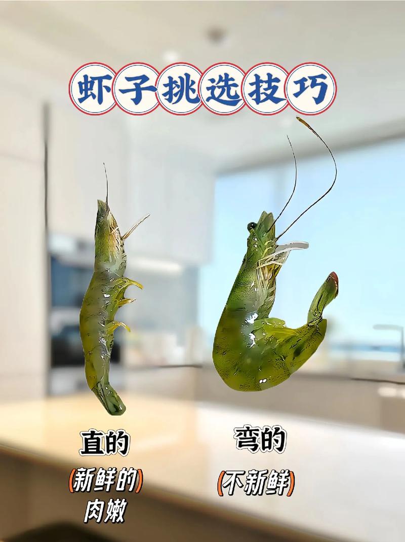 快手、抖音、dy虾，选择哪一家？你的选择真的正确吗？