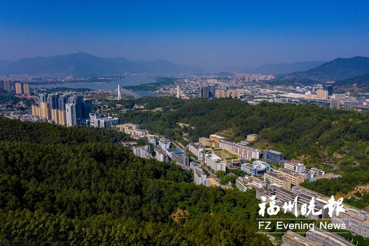 福州网络发展现状及未来展望