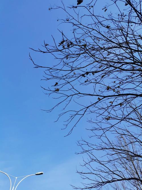 下沙高速口疫情最新消息，安全依旧，应对措施到位