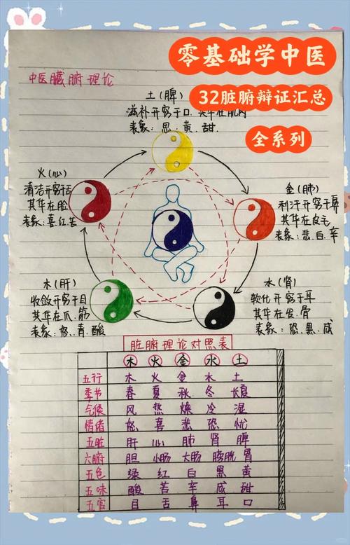 1.基础功能与功能分类