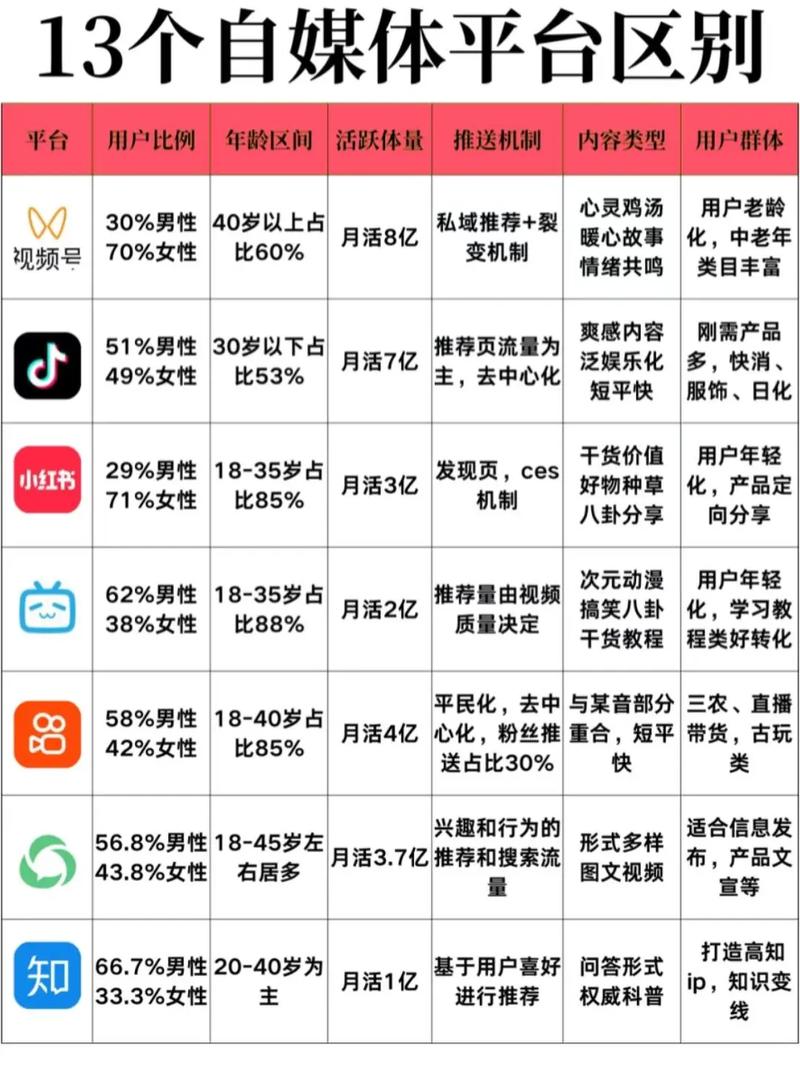 短视频平台与播放量网站的深度对比与选择指南