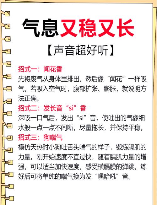 如何在株洲地区高效学习扩音器技能？