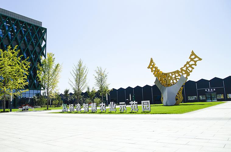 城市经济中心，解读杨凌的数字未来