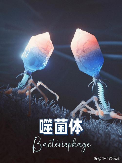 病毒之光°南山 Matters