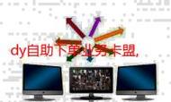卡盟代网抖音，ks一秒5赞，dy低价粉App