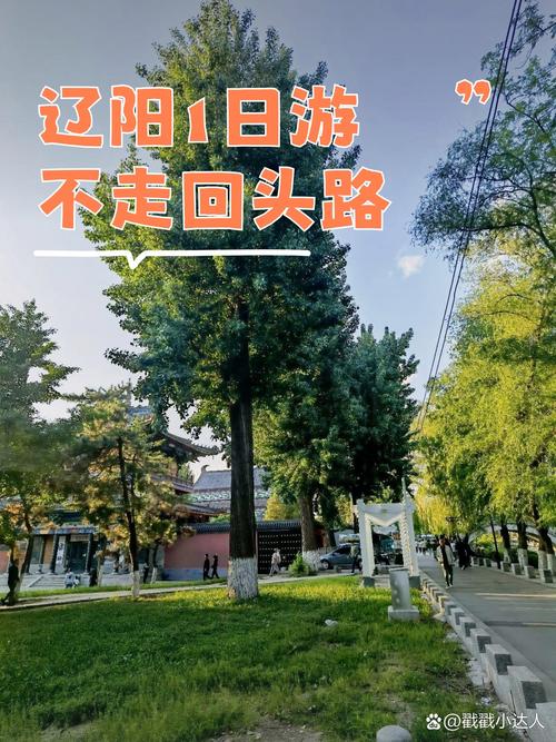 辽阳这座城市的崛起，从建设到发展的全面指南
