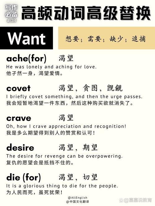 WANT网络是什么？