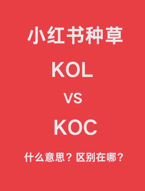 KOL们，为什么他们比你更了解你？