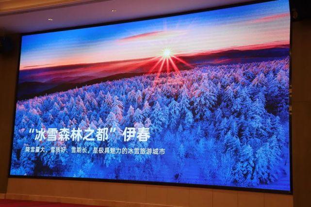 伊春网络推广指南，如何在伊春快速崛起