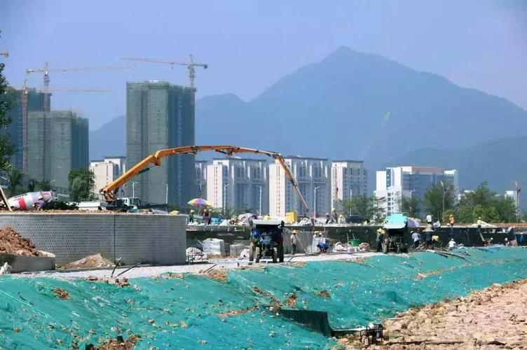 肇庆网站建设指南，助力数字肇庆，开启未来！