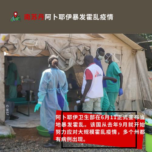 疫情无国界,苏家屯疫情最新动态