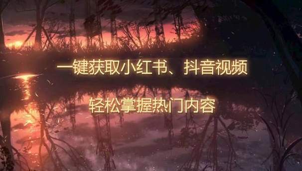 24小时全自助下单,助你轻松刷抖音,赚取更高收益