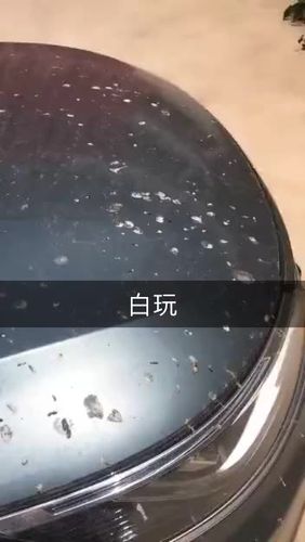 快手快查，小姚秘籍，dy业务网，别错过！