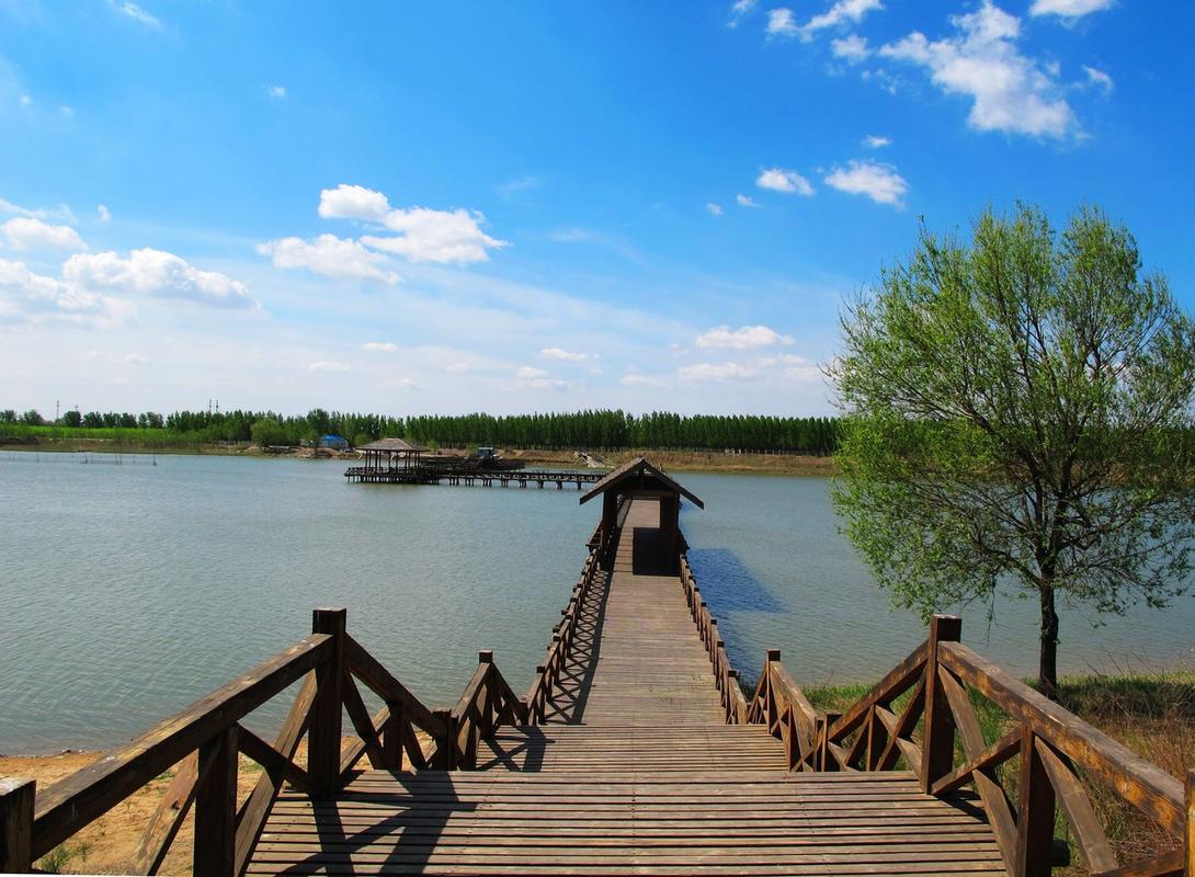东营，旅游胜地，经济强区，市场价值全靠精准营销！