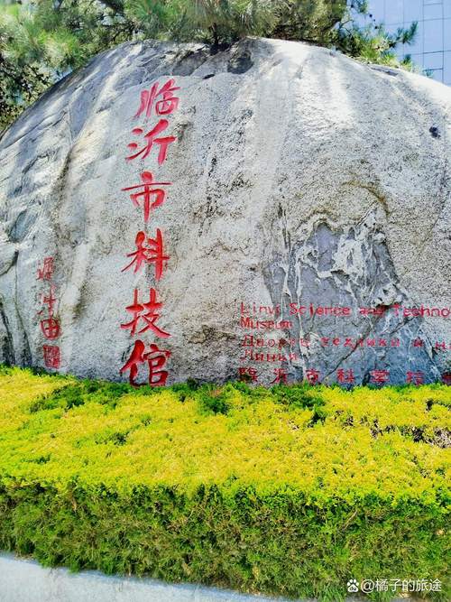 临沂丰棋科技，探索未来，成就非凡—223年创新故事