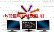 抖音评论秒刷与dy自助下单,区别与选择