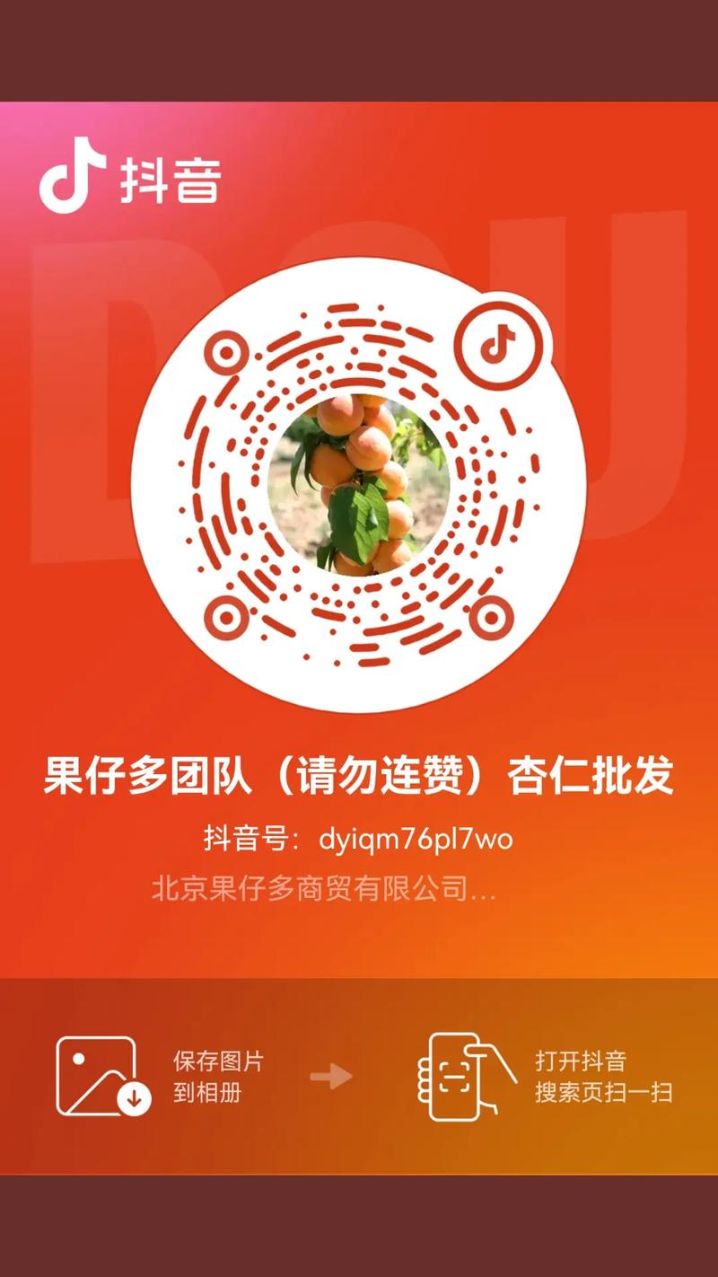 如何在抖音和dy赞自助中获得流量