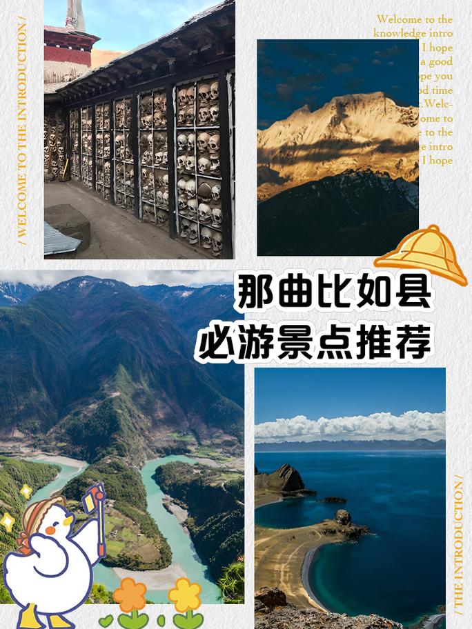 那曲网络推广，一场吸引人的旅游热潮