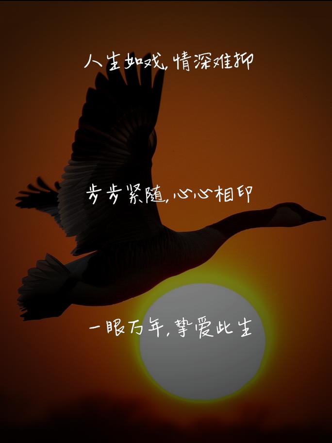 等待时刻,网络用语中的甜蜜存在