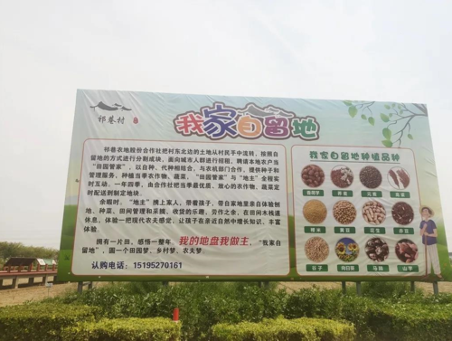 泰兴本地网站开发 泰兴本地网站推荐