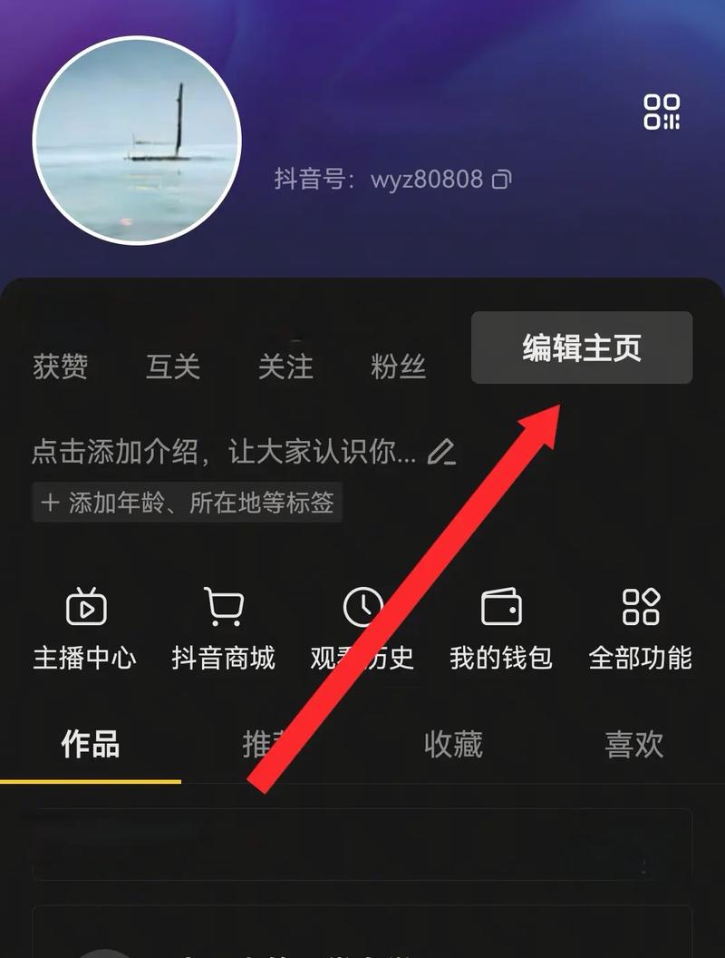 如何高效找到抖音双击网站、利用快手播放量进行内容推广，以及优化内容质量提升曝光