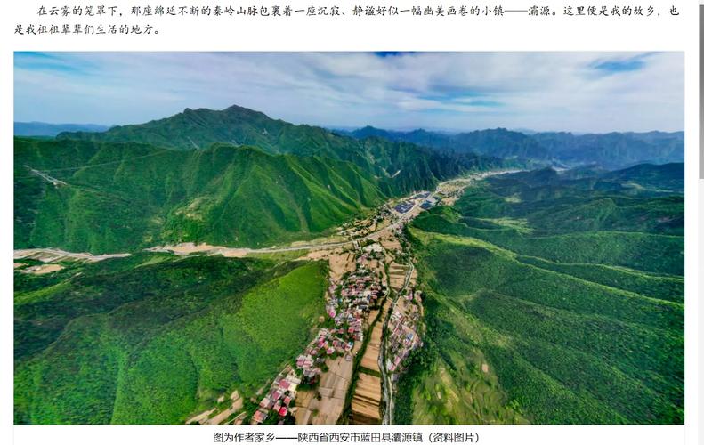 故乡人，网络时代的乡情栖息地