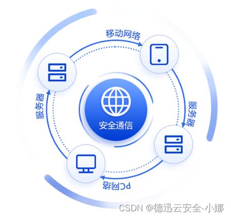 蜘蛛爬网络,网络环境的威胁与防范
