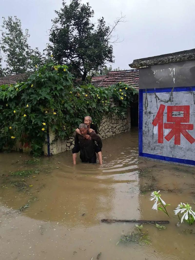 疫情来了,沂水和费县都在疯狂!