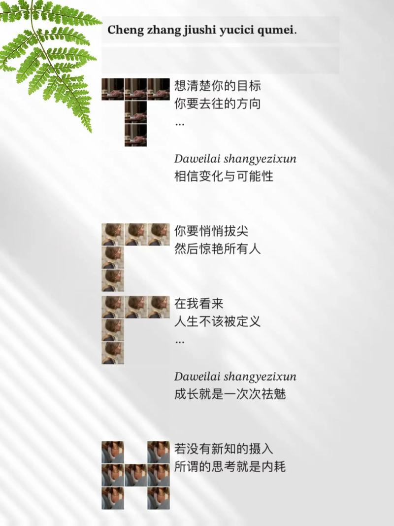 自媒体作者，一个轻松的生存指南—如何在免费赞政策中脱颖而出